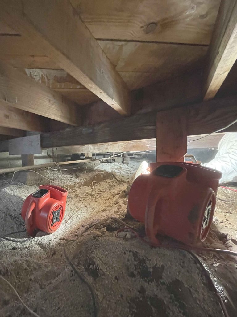 Thoroughly drying the area using centrifugal fans.