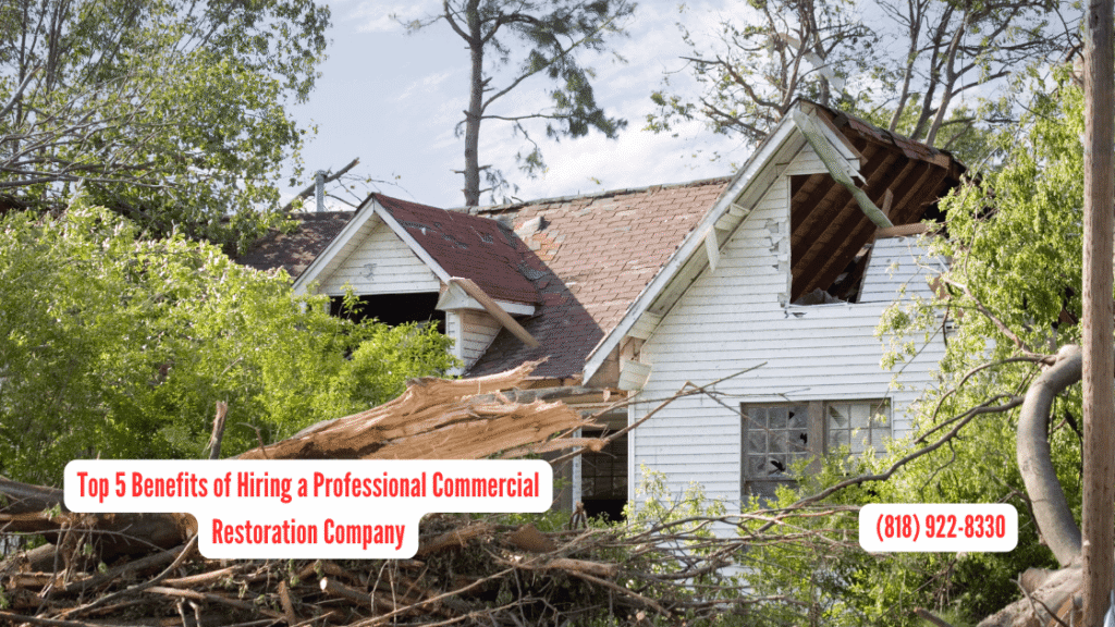 Top 5 Benefits of Hiring a Professional Commercial Restoration Company