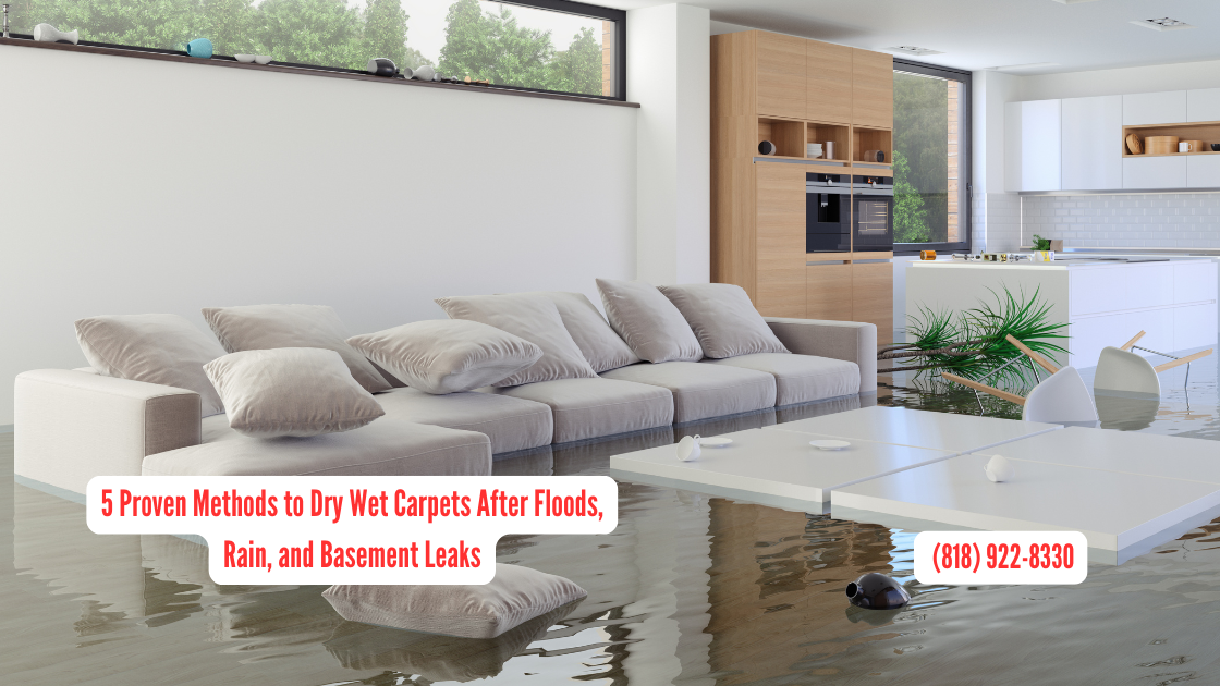 5 Proven Methods to Dry Wet Carpets After Floods, Rain, and Basement Leaks