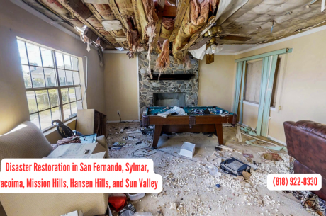 Disaster Restoration