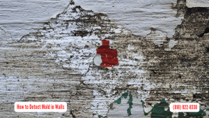 How to Detect Mold in Walls in San Fernando
