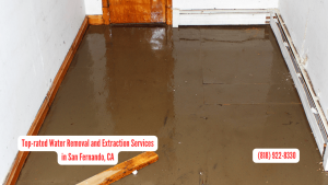 Water Removal and Extraction