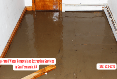 Water Removal and Extraction