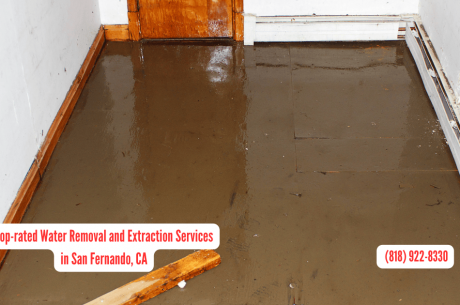 Water Removal and Extraction