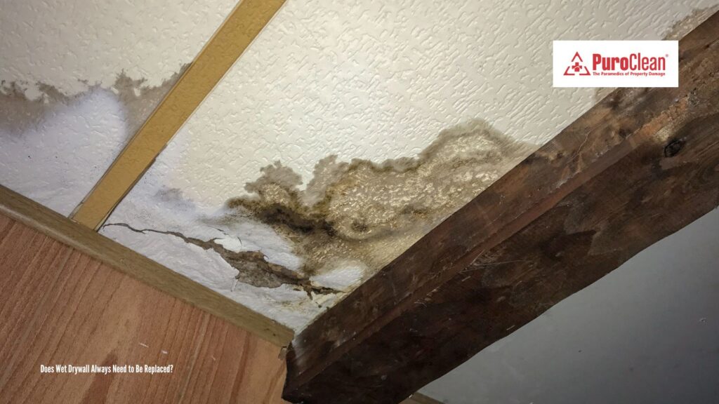 Does Wet Drywall Always Need to Be Replaced?