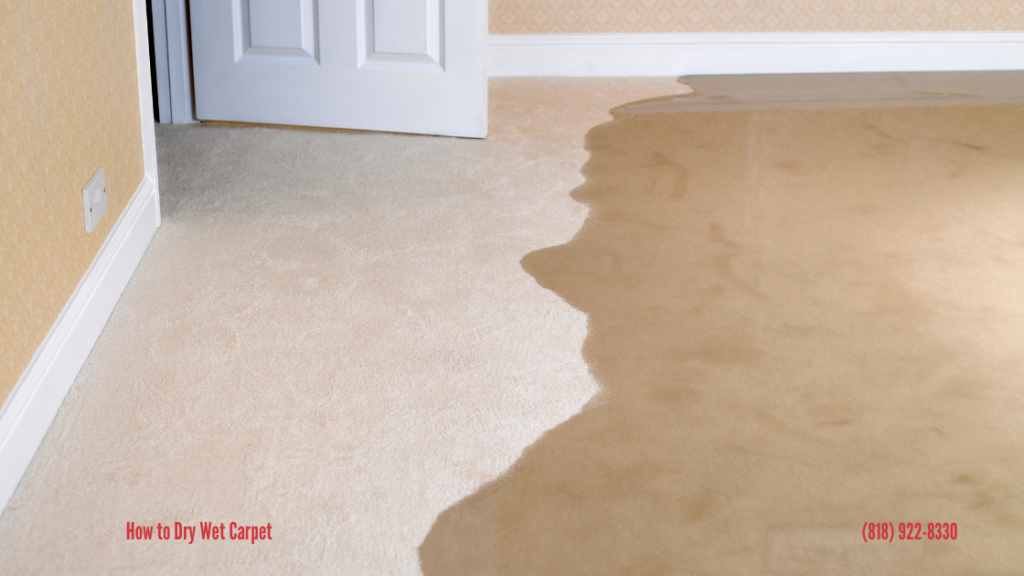How to Dry Wet Carpet