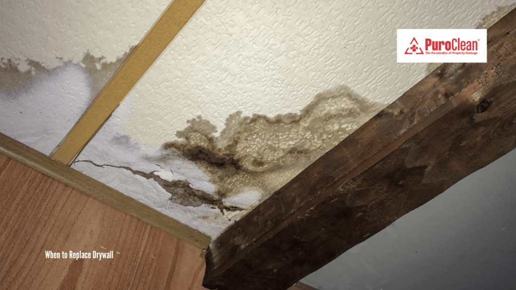When to Replace Drywall