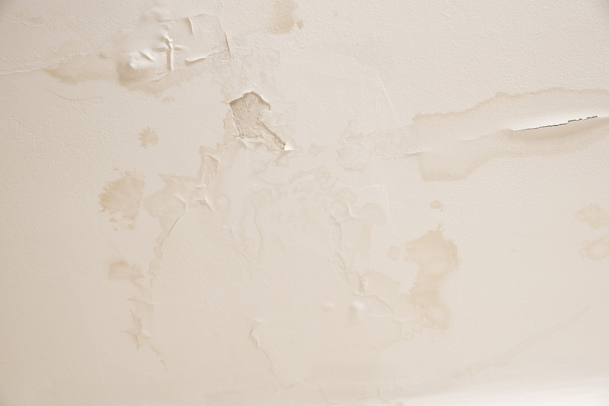 How to Dry Wet Walls After Water Damage A DIY Guide