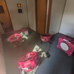 Water Damage