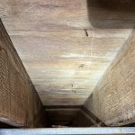 Mold Remediation