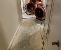 water damage