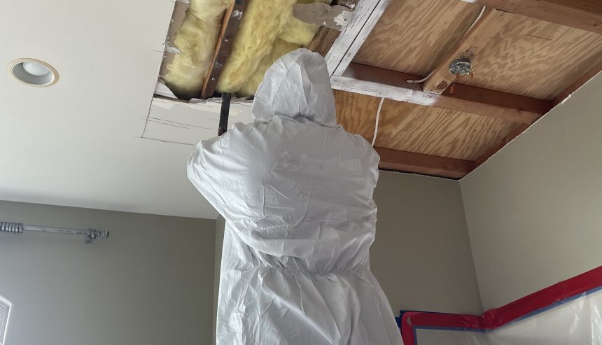 One of our PuroClean technicians investigating this home's roof water leak.