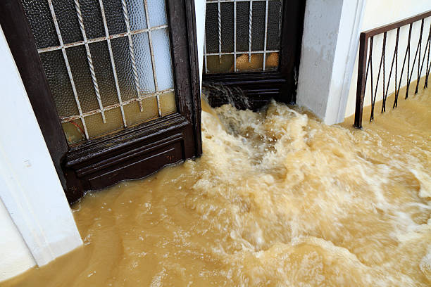 house flooding cleanup companies