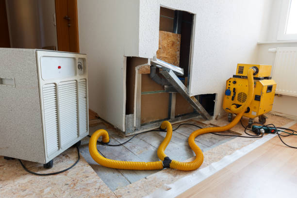sewage cleanup experts