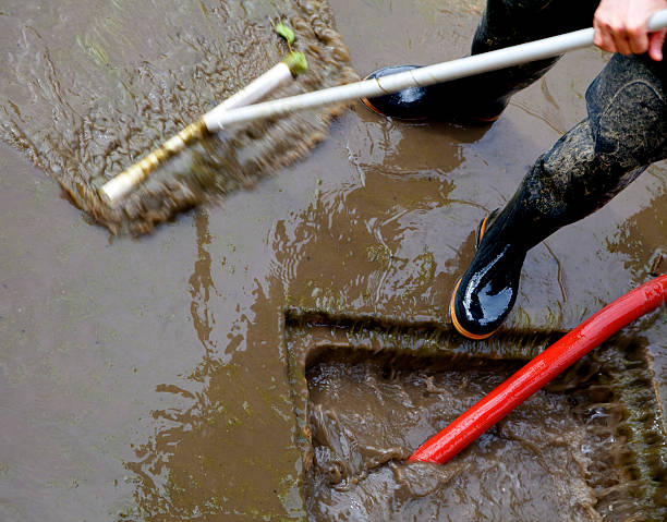 emergency raw sewage cleanup near me
