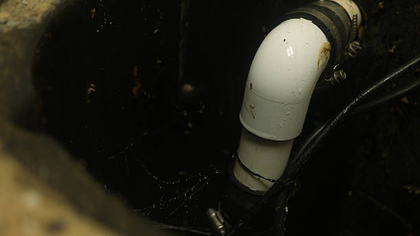 Category 3 raw sewage cleanup near me
