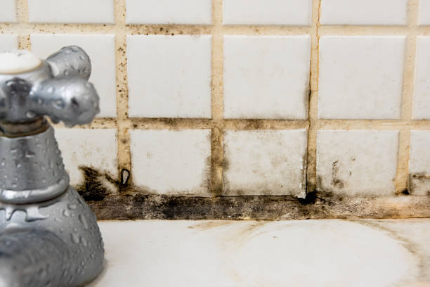 Is white mold dangerous in bathrooms