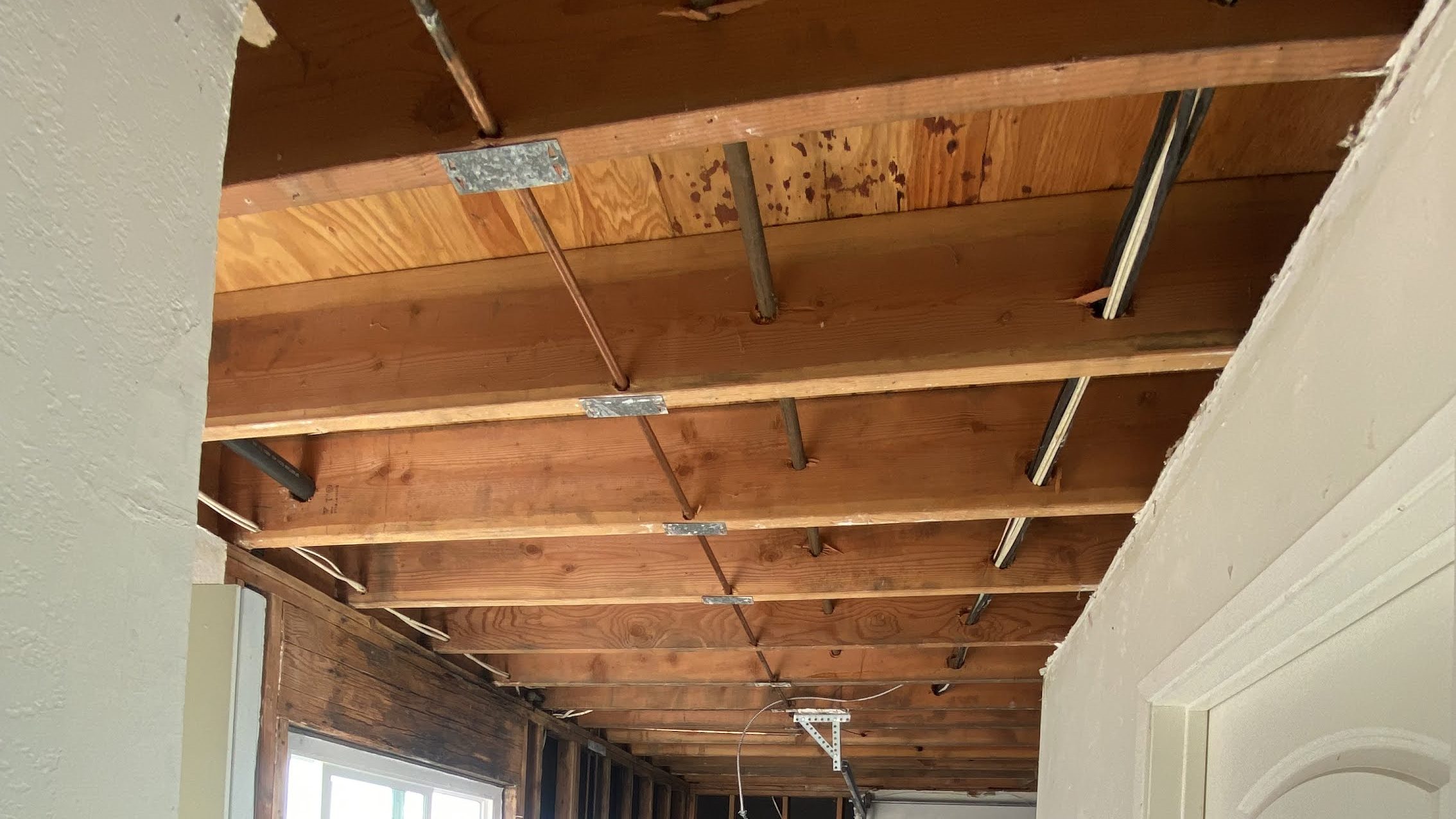 Mold Removal San Luis Obispo