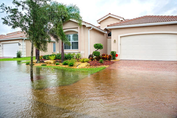 7 Urgent Reasons Why House Flood Cleaning in Nipomo, CA Should Never Be Delayed
