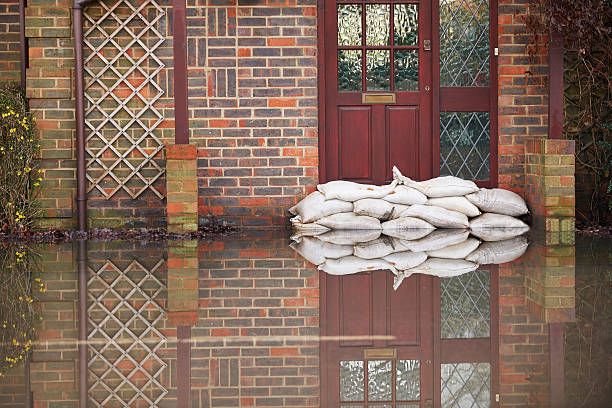The Homeowner’s Guide to Hiring House Flooding Cleanup Companies You Can Trust in Santa Maria