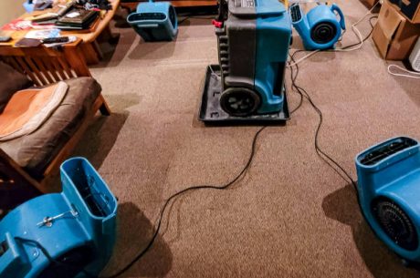 Carpet Cleaning vs. Water Damage Restoration