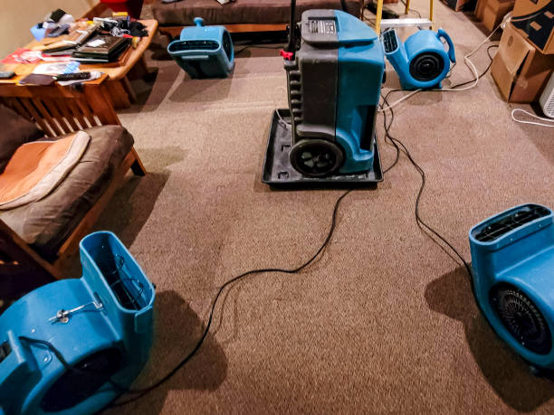 Carpet Cleaning vs. Water Damage Restoration
