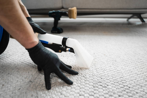 24/7 carpet and upholstery cleaning in winter