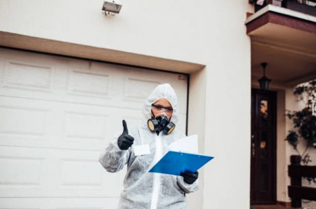 mold removal companies in Santa Maria