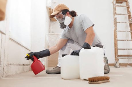 active mold remediation