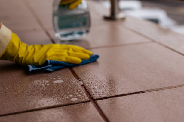 Active Seal and Grout Mold Stain Remover: 5 Serious Risks Santa Maria Homeowners Shouldn’t Ignore This January