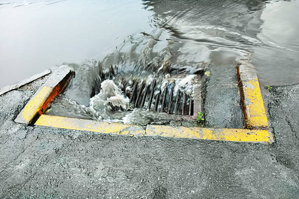 raw sewage cleanup near me