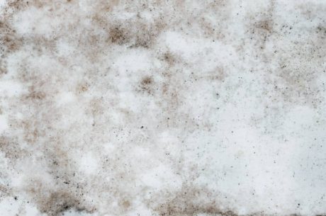 Is White Mold Dangerous in Winter? 5 Alarming Threats Hiding in Your Home Right Now