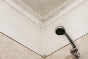 Is white mold dangerous in bathrooms