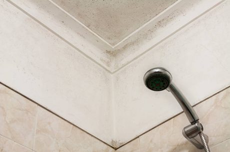 Is white mold dangerous in bathrooms