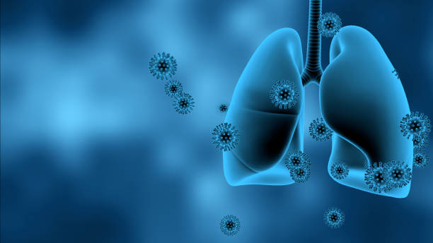 7 Alarming Long Term Mold Exposure Symptoms You Should Never Ignore in Your Home