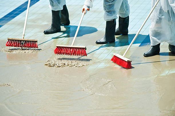 What the Best House Flooding Cleanup Companies Do That DIY Can't