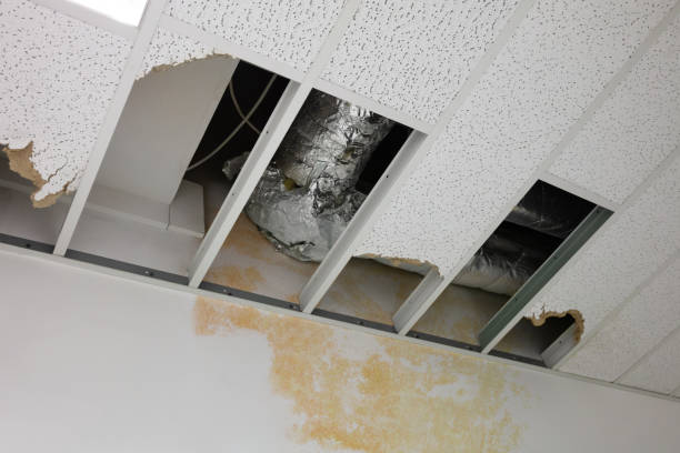 Post Water Damage Air Duct Cleaning: Why Santa Maria's January Floods Create Hidden Mold Highways Through Your Entire Home