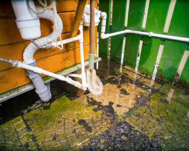Raw Sewage Cleanup Near Me