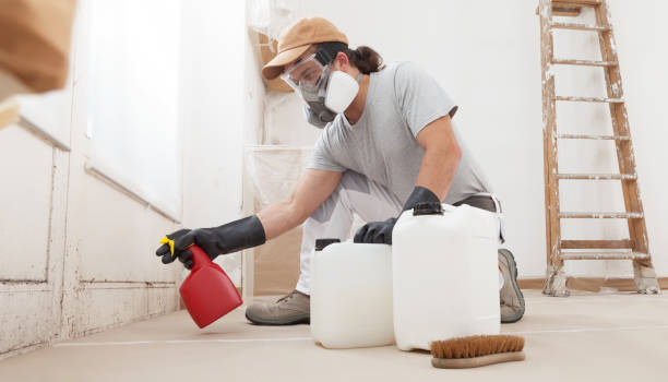 active mold remediation
