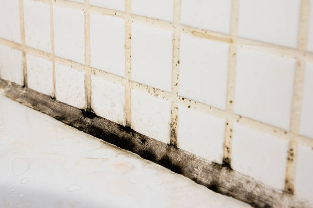 beyond active seal and grout mold stain remover
