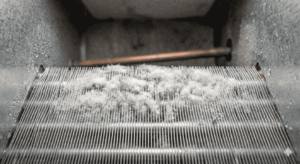 Is White Mold Dangerous in HVAC Systems? 7 Signs Your AC Is Blowing Spores