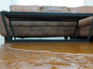 Can Water Damaged Hardwood Floors Be Saved Without Replacement?
