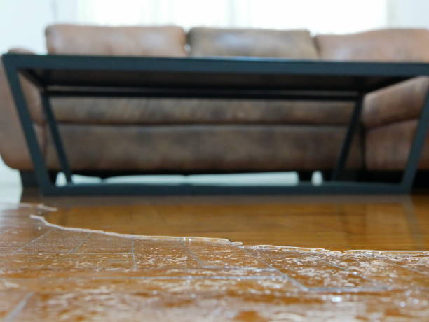 Can Water Damaged Hardwood Floors Be Saved Without Replacement?