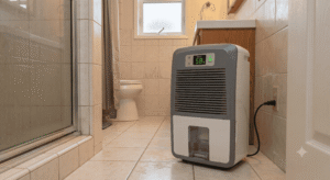 Not Just Dust: How to Spot and Stop White Fuzzy Mold Before It Spreads