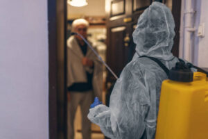 Mold Removal in Santa Maria: What to Expect From Start to Finish