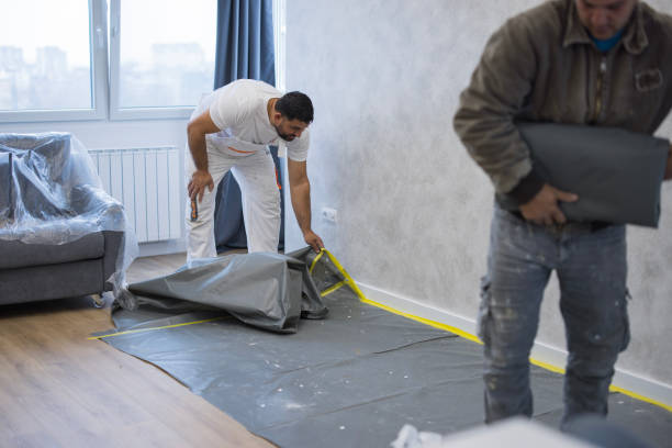 Residential Mould Removal: 5 Proven Fixes for Toxic Homes