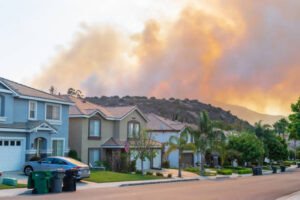 wildfire smoke damage
