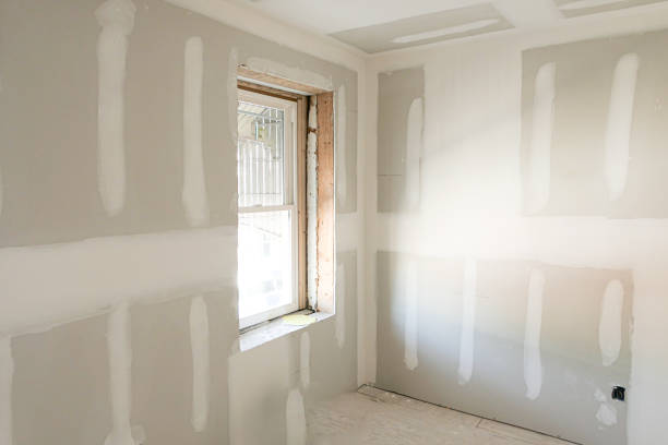 Mold on drywall post