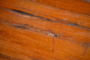 Mold on Hardwood Floors in Santa Maria, CA: 5 Warning Signs Before It Spreads