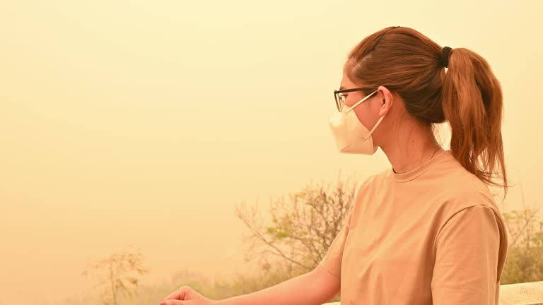 wildfire smoke damage